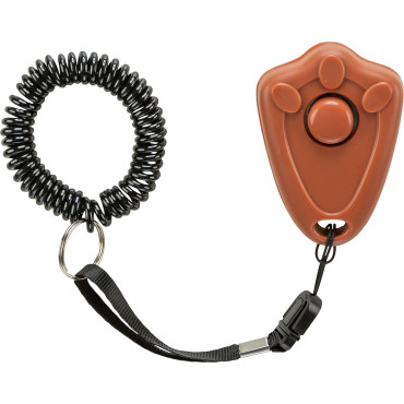 Clicker com Pulsor