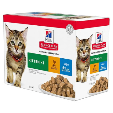 Hill's Kitten - Alimento em...