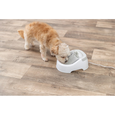 Bebedouro/Fonte DUO STREAM