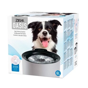 Fonte de água para cão - Zeus