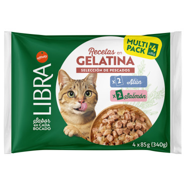 Libra Receitas em Gelatina...