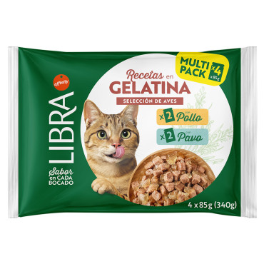 Libra Receitas em Gelatina...