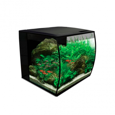 Fluval Flex kit Aquário Preto - 57lts