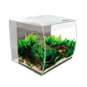 Fluval Flex kit Aquário Preto - 57lts