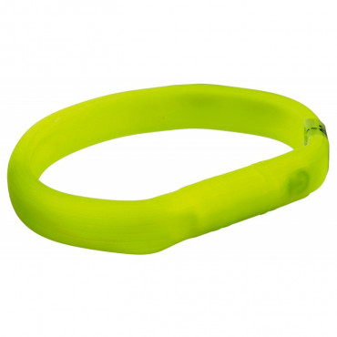 Flash Light BAND USB