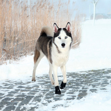 Bota protectora WALKER ACTIVE