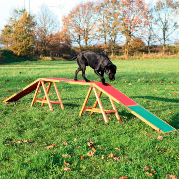 Agility Dogwalk