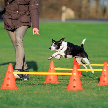 Dog Activity - Conjunto de Obstáculos