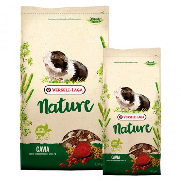 NATURE - Cavia