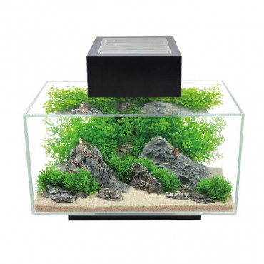 Aquário Fluval Edge 2.0 23L