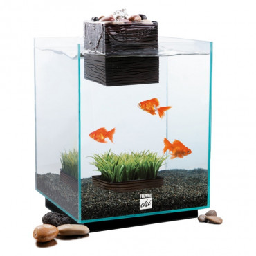 Aquário Fluval Chi 19L