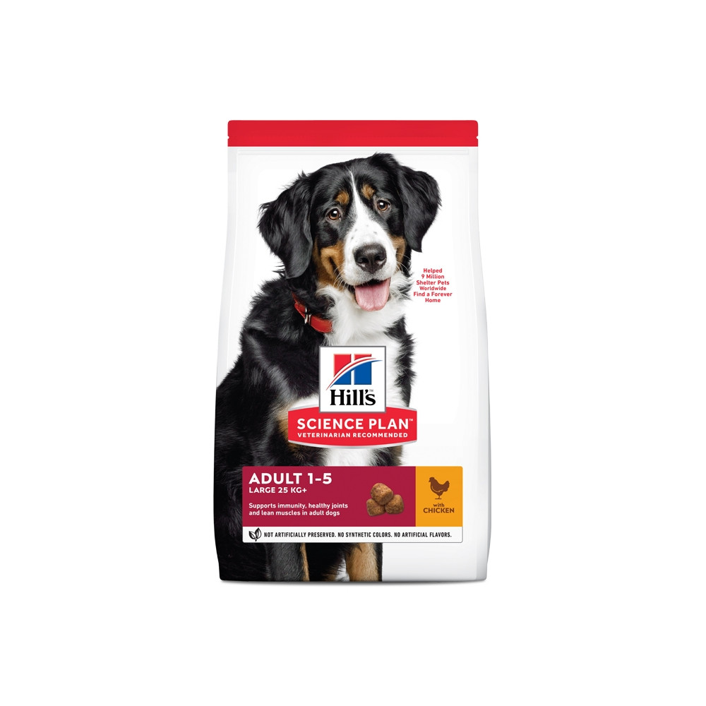 Hill's Adulto Large Breed Frango