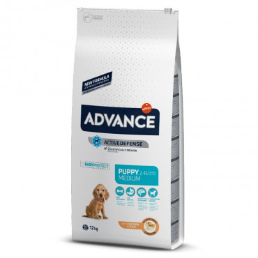 Advance - Medium Puppy