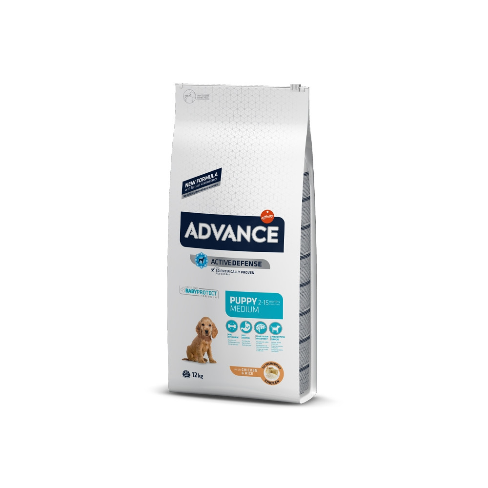 Advance - Medium Puppy