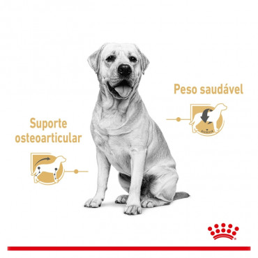 Royal Canin Labrador Retriever Húmida Cão