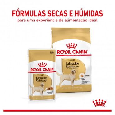 Royal Canin Labrador Retriever Húmida Cão