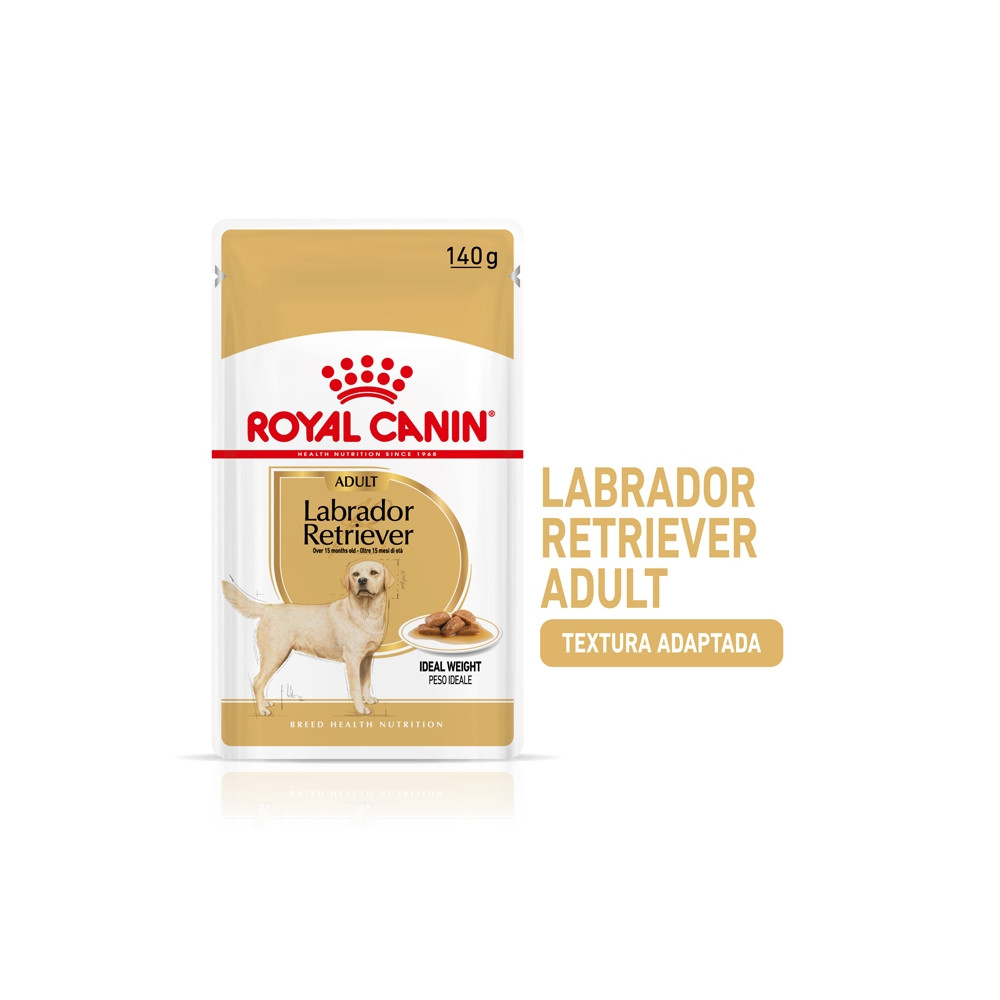 Royal Canin Labrador Retriever Húmida Cão