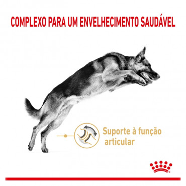 Royal Canin Pastor Alemão 5+ Cão Adulto