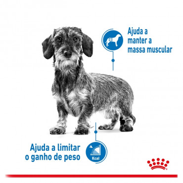 Royal Canin Light Weight Care X-Small Cão Adulto