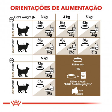 Royal Canin Ageing Sterilised 12+ Gato Sénior