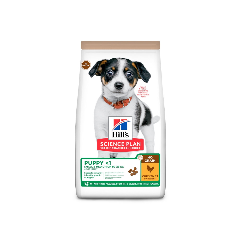 Hill's No Grain Cão Puppy Small & Medium - Frango