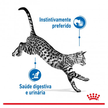 Royal Canin Indoor Gato Esterilizado - Em molho