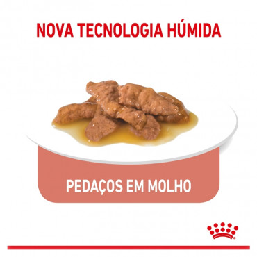 Royal Canin Indoor Gato Esterilizado - Em molho