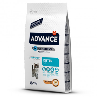 Advance - Kitten