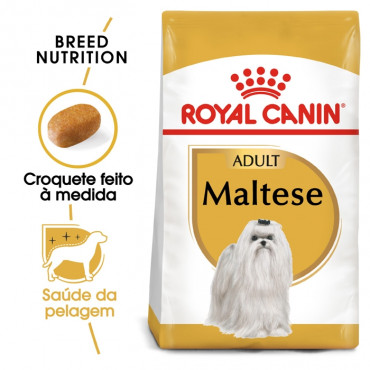 Royal Canin Maltese Cão Adulto