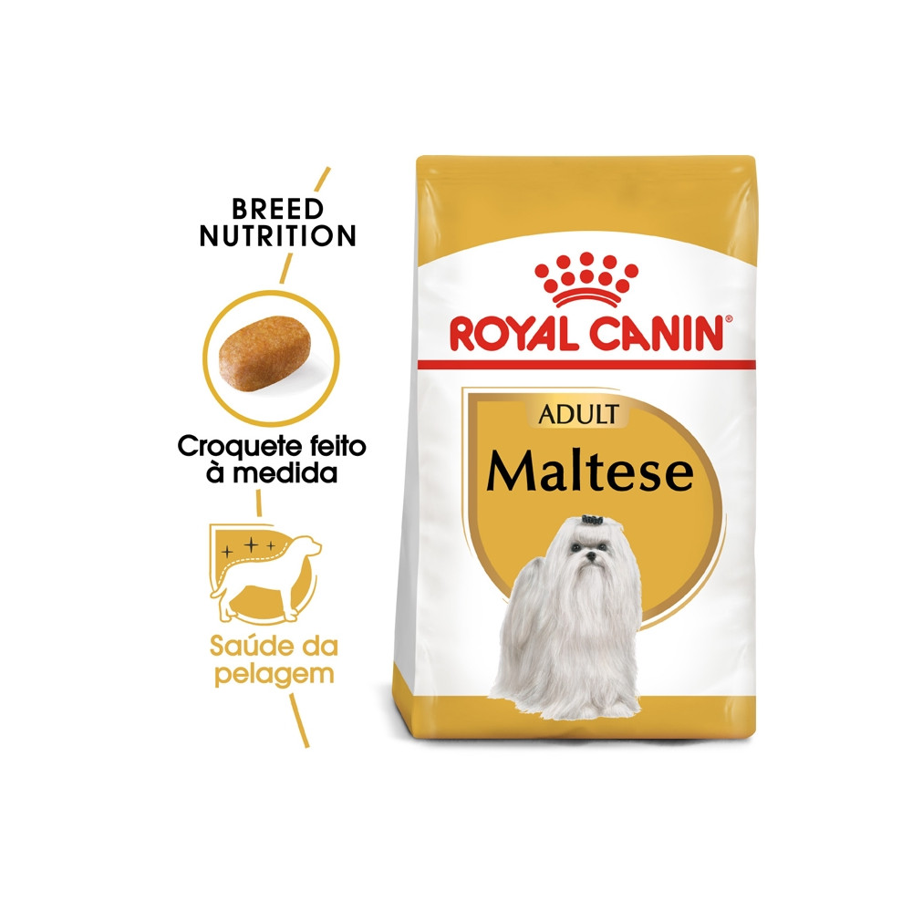 Royal Canin Maltese Cão Adulto