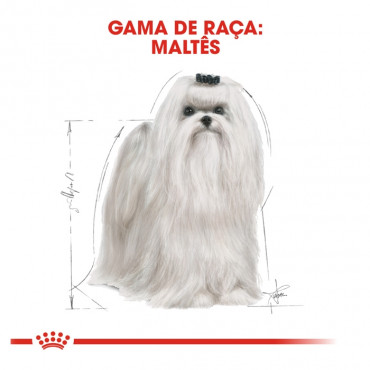 Royal Canin Maltese Cão Adulto