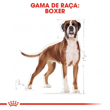 Royal Canin - Boxer