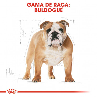 Royal Canin Bulldog Cão Adulto