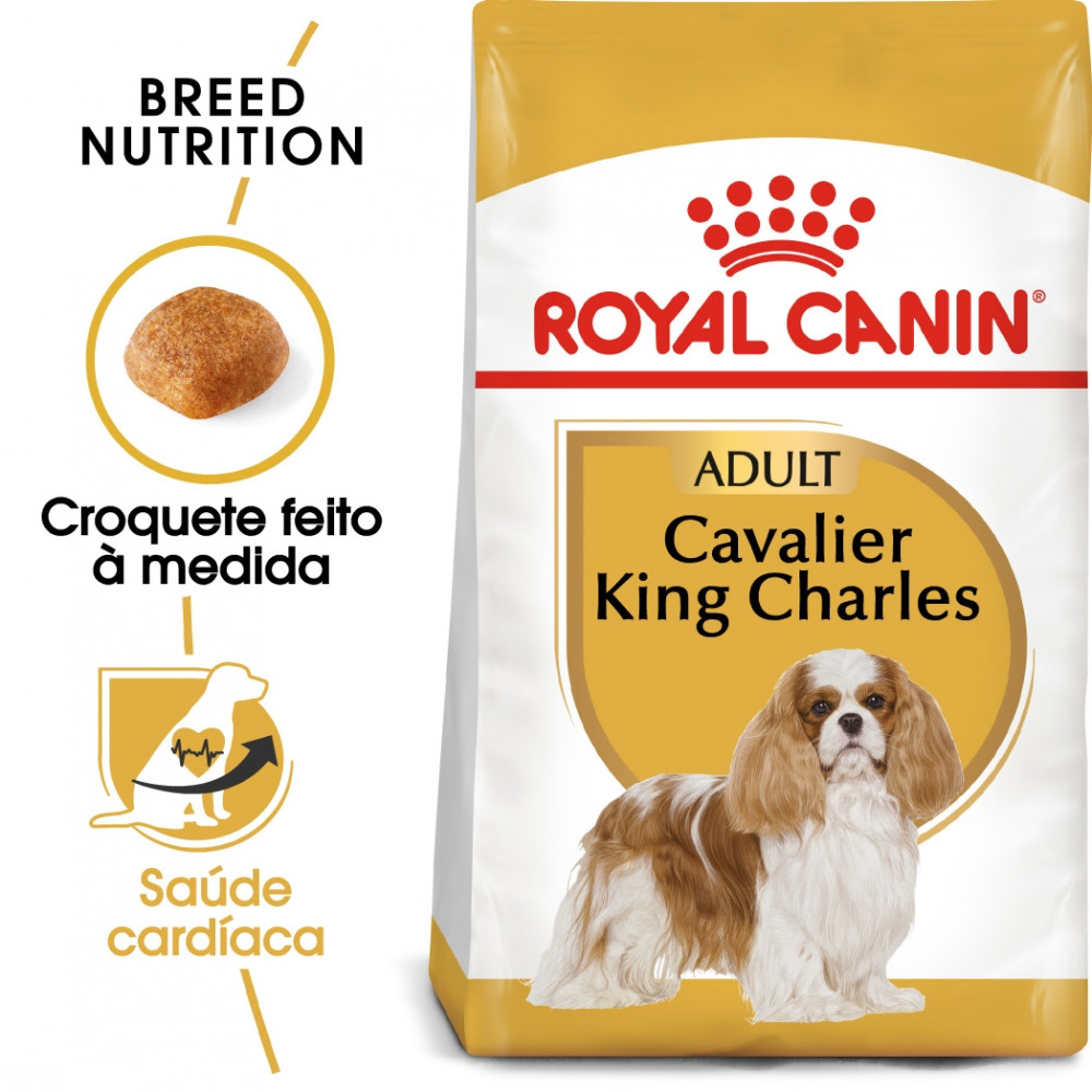 Royal Canin - Cavalier King Charles