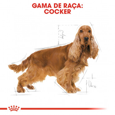 Royal Canin - Cocker