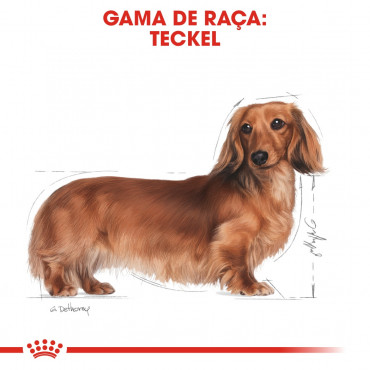 Royal Canin - Dachshund