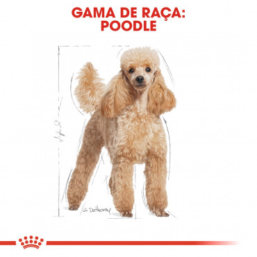 Royal Canin - Poodle