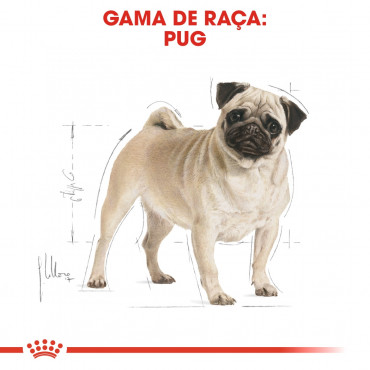 Royal Canin - Pug