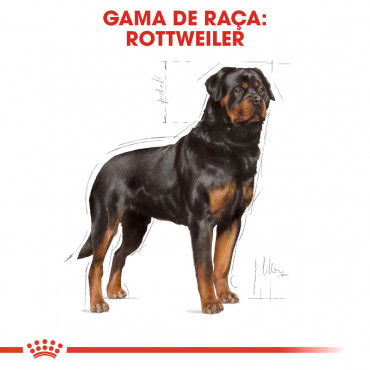 Royal Canin - Rottweiler