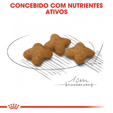 Ração para cão Royal Canin X-Small Esterilizado