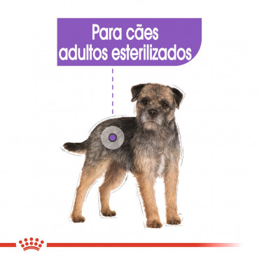 Royal Canin - Mini Sterilised