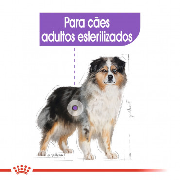 Royal Canin - Medium Sterilised