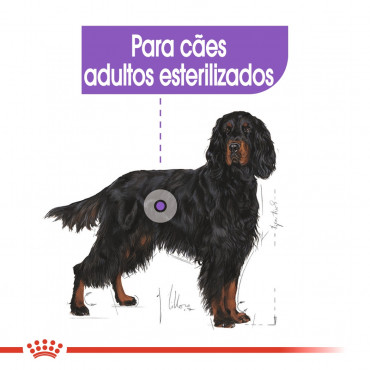 Ração para cão Royal Canin Maxi Esterilizado