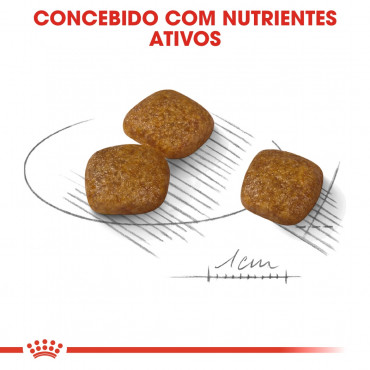 Royal Canin Urinary Care Cão Mini Adulto