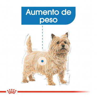 Royal Canin - Mini Light Weight Care