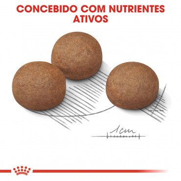 Ração para cão Royal Canin Digestive Care Maxi