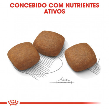 Ração para cão Royal Canin Maxi Joint Care 10kg