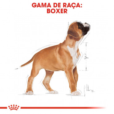 Royal Canin - Boxer Junior