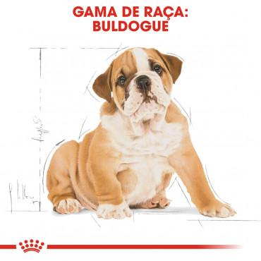 Royal Canin - Bulldog Puppy