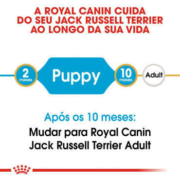 Royal Canin - Jack Russell Terrier Puppy | Goldpet